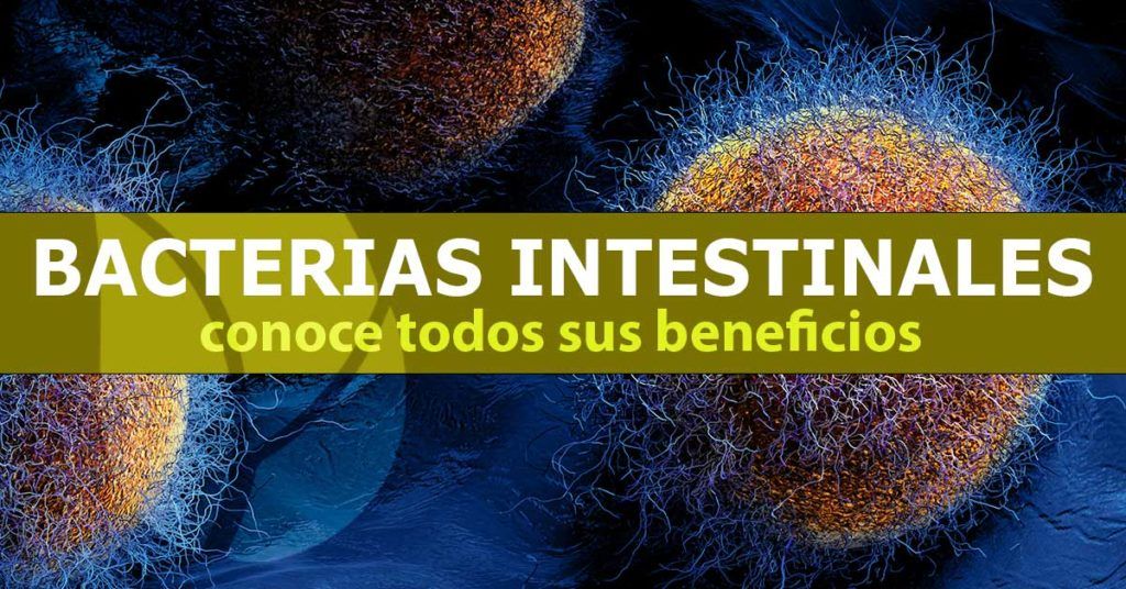 Beneficios-de-las-bacterias-intestinales