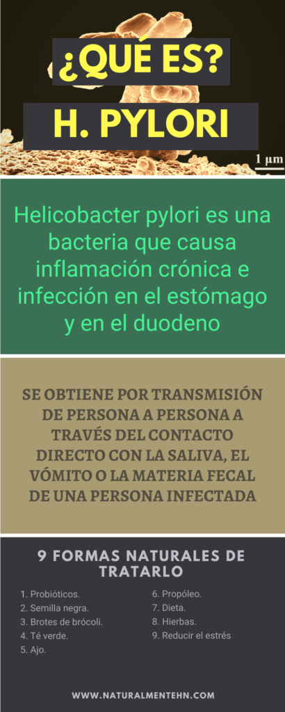 Helicobacter
