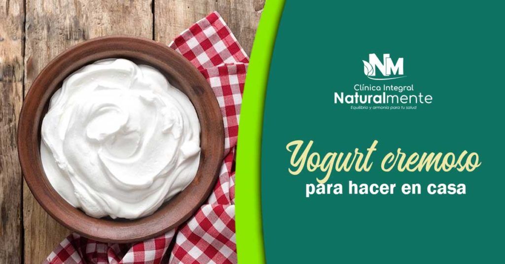 Yogurt-casero-cremoso-blog