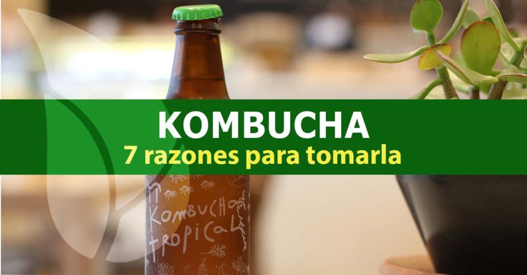 Kombucha-razones