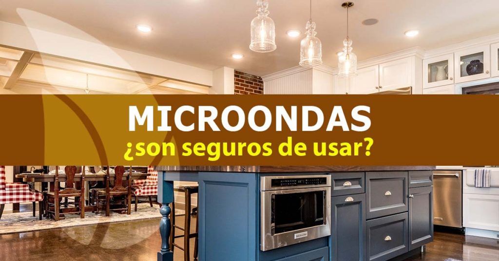 Microondas-seguros-blog