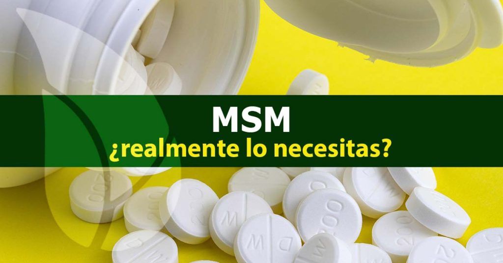MSM-realmente-lo-necesitas-blog