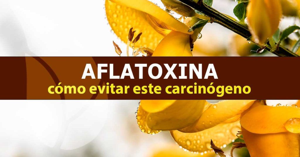 Aflatoxina-Cómo-evitar-este-carcinógeno-blog