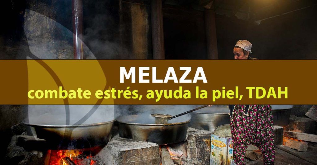 Melaza-blog