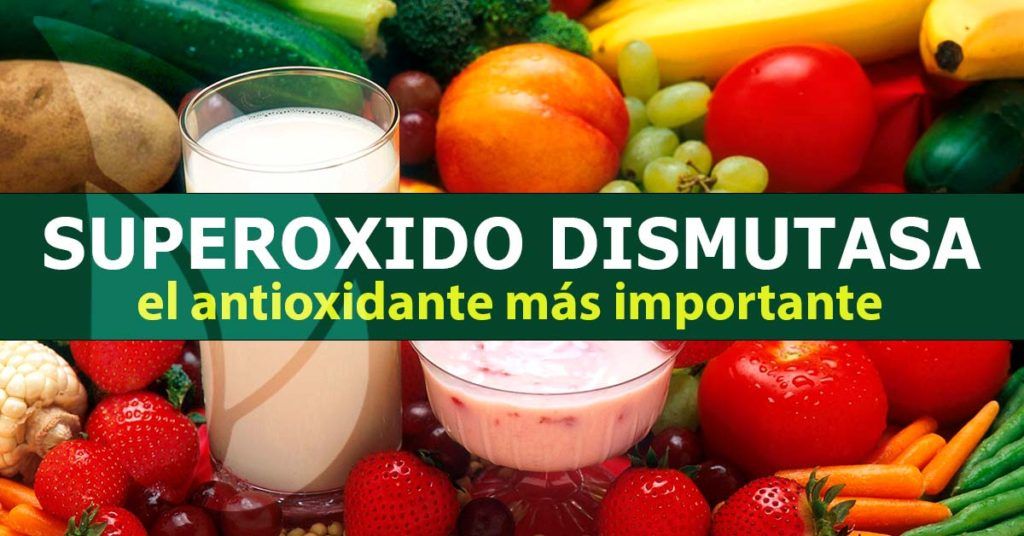 Superóxido-dismutasa-blog