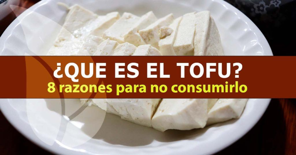 Tofu-8-razones-para-no-consumirlo-blog