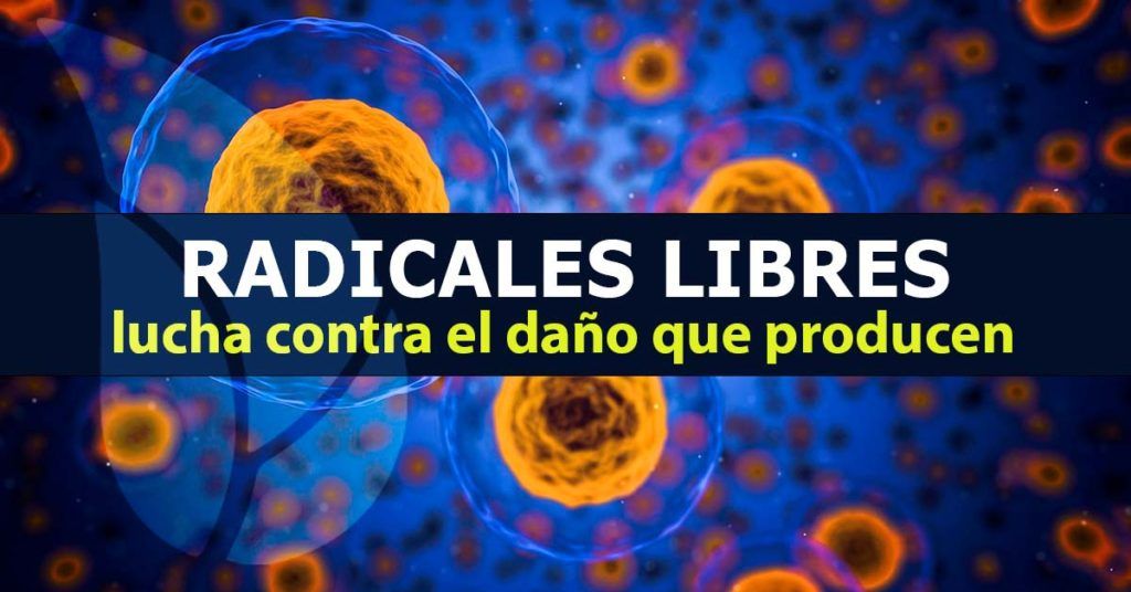 Lucha contra los radicales libres