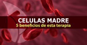 5 Beneficios de la terapia con células madre