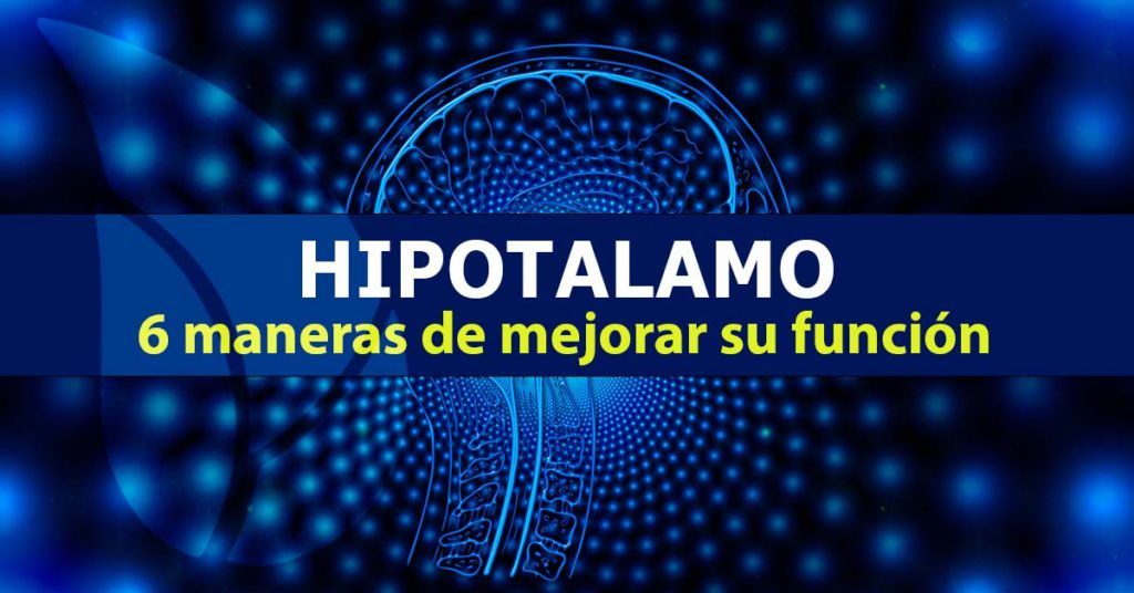 Hipotálamo, 6 formas de mejorar su función