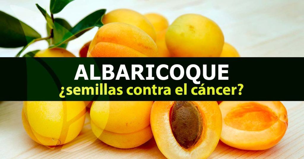 Albaricoque ¿semillas contra el cáncer?