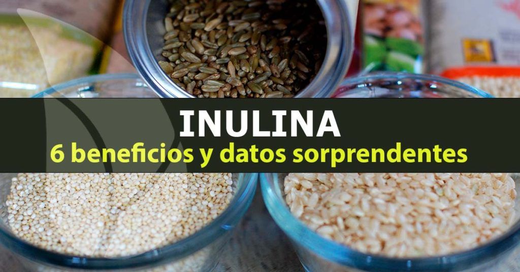 6 beneficios sorprendentes de la inulina
