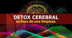 Detox cerebral, es hora de una limpieza
