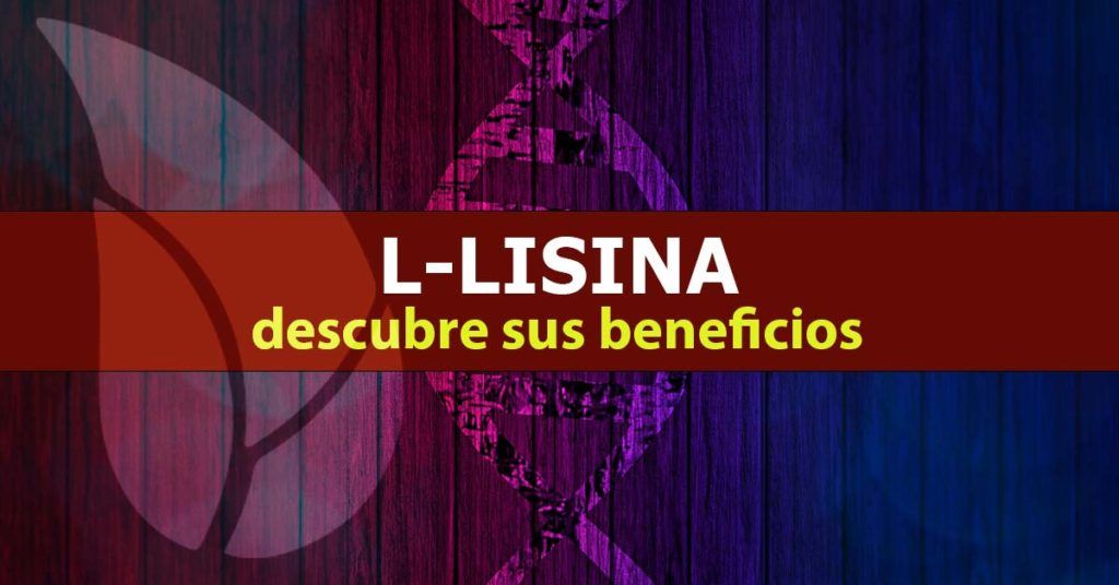 L-lisina conoce sus beneficios