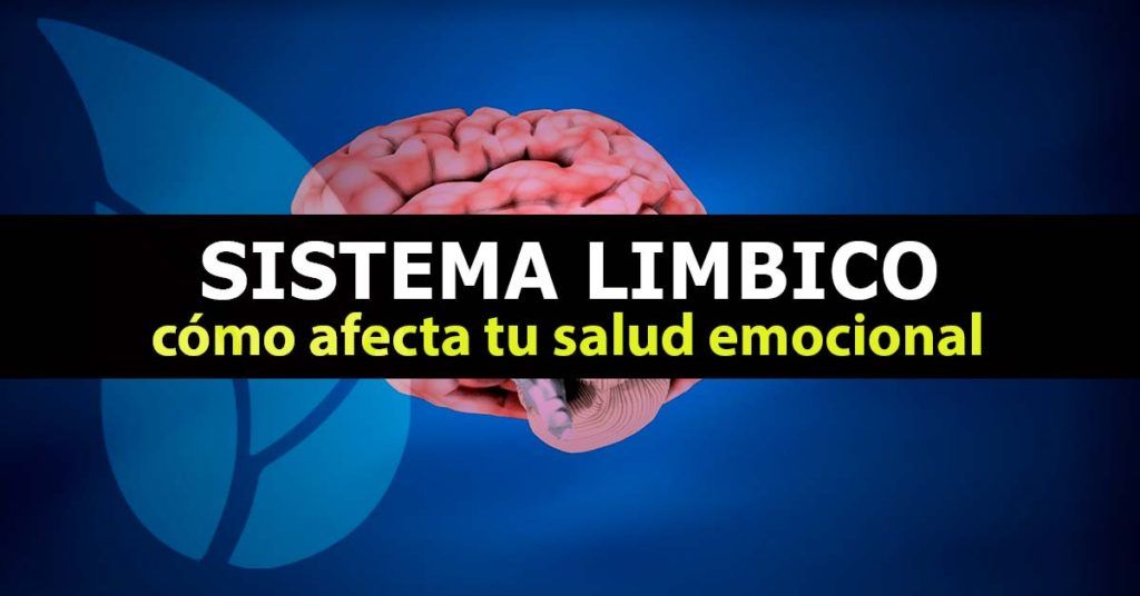 Sistema límbico, cómo afecta tu salud emocional