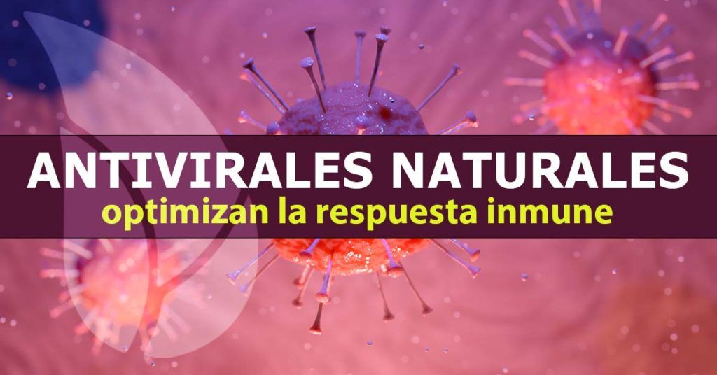 Antivirales naturales para optimizar la respuesta inmune