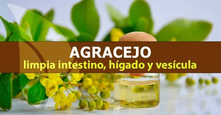 Agracejo limpia intestino, hígado y vesícula biliar