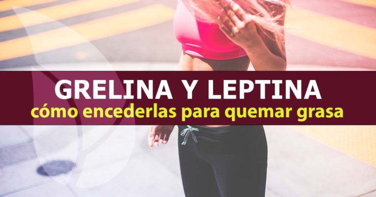 Grelina y leptina, como encerderlas para quemar grasa