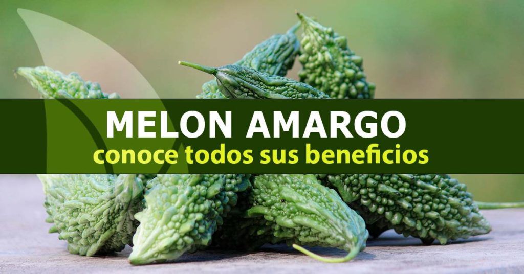 Melón-amargo,-conoce-todos-sus-beneficios
