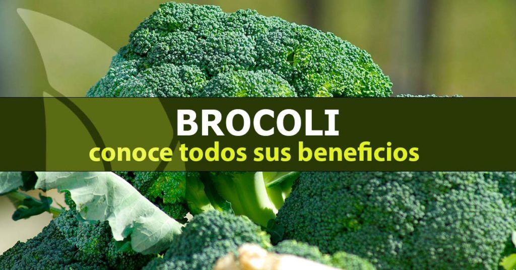 Brócoli,-conoce-sus-beneficios-comprobados