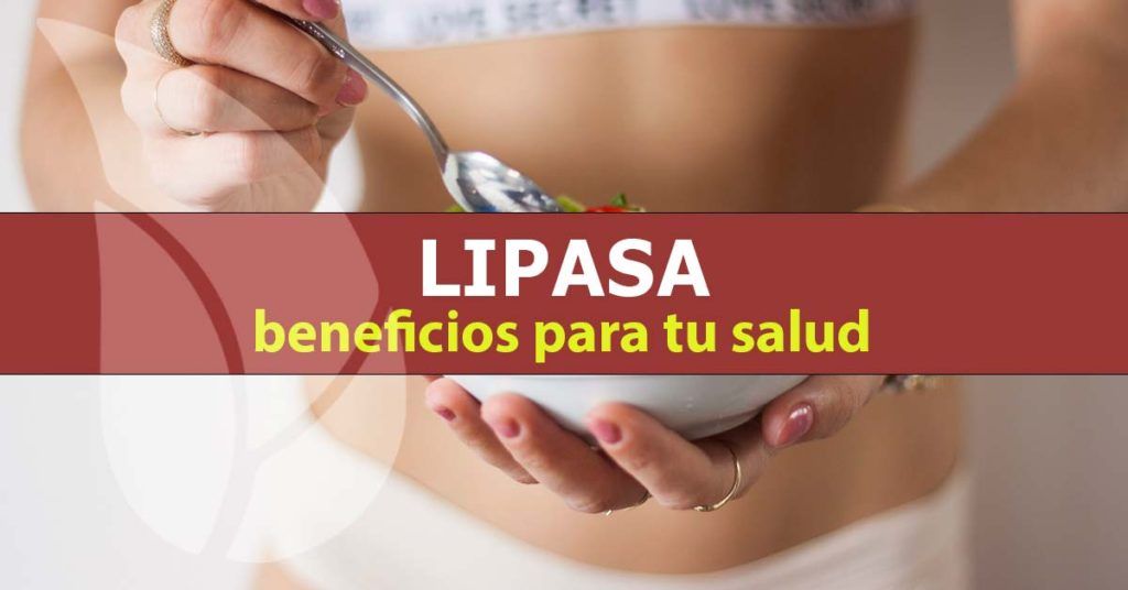 Lipasa-múltiples-beneficios-para-la-salud