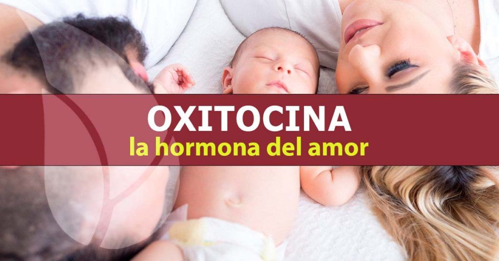 Oxitocina,-la-hormona-del-amor
