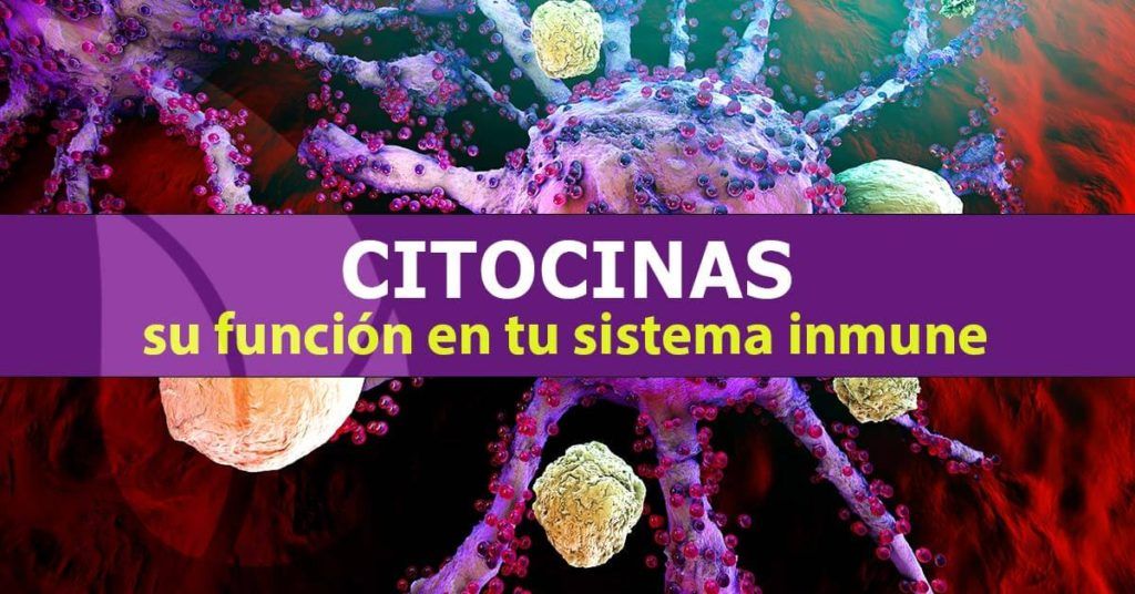 Citocinas,-su-función-en-tu-sistema-inmunológico