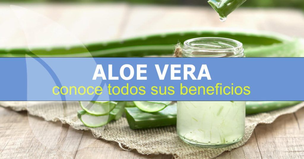 Beneficios del aloe vera