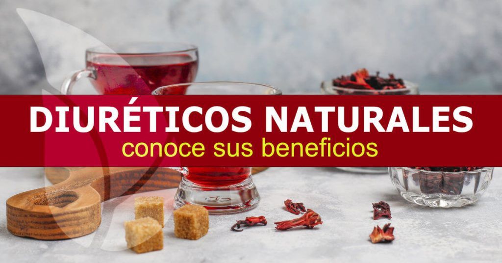 Diuréticos naturales, conoce sus beneficios