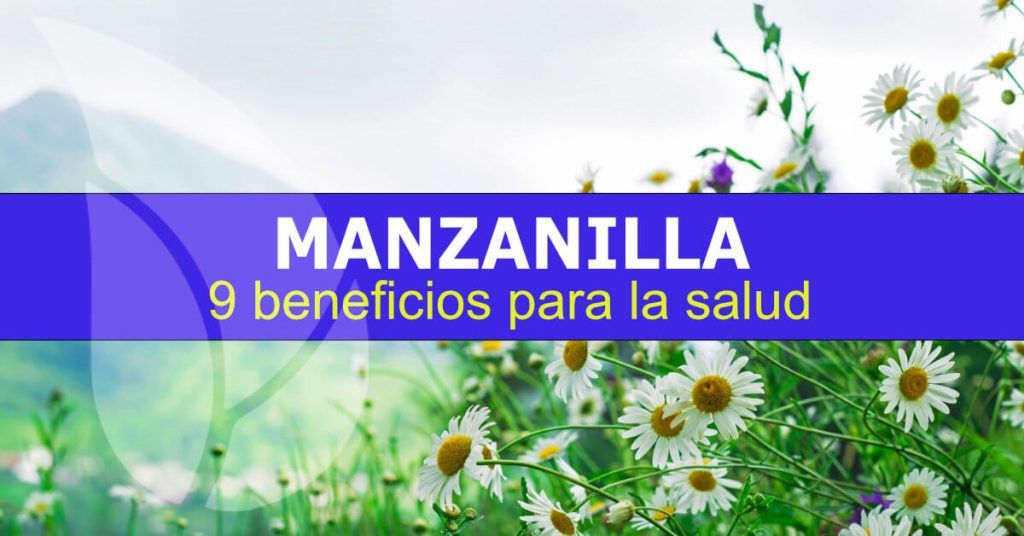 9 beneficios de la manzanilla