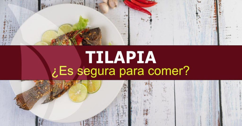 Es segura para comer tilapia